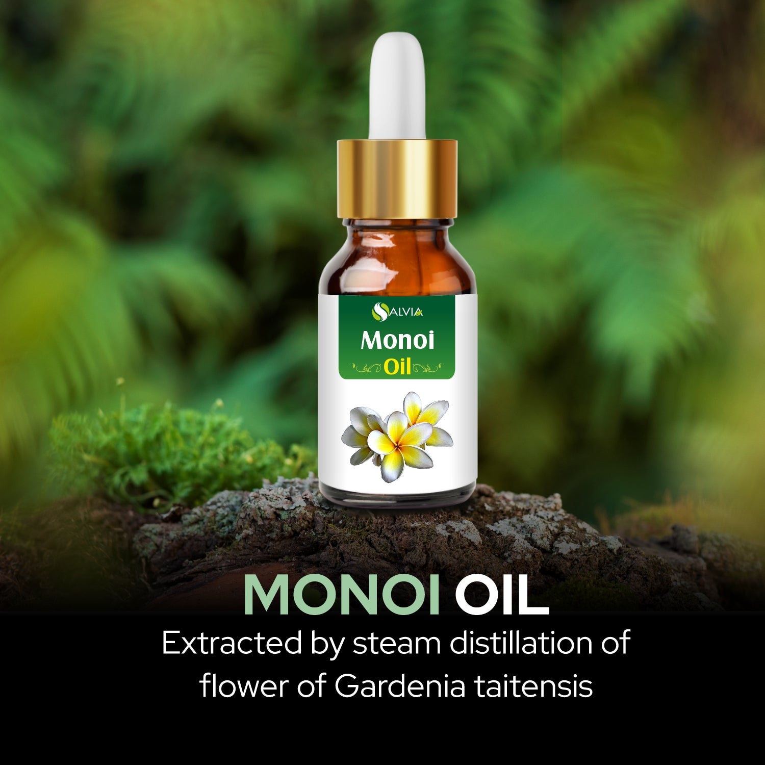 Salvia Natural Essential Oils,Dandruff,Greasy Oil,Anti Fungal,Anti-fungal Oil,Oil for Greasy Hair Monoi Oil Salvia Natural Essential Oils,Dandruff,Greasy Oil,Anti Fungal,Anti-fungal Oil,Oil for Greasy Hair Monoi Oil